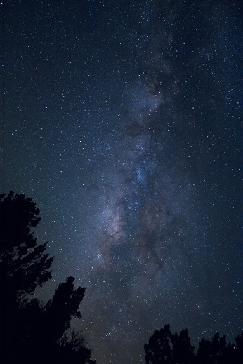 *Standing Summer Milky Way *