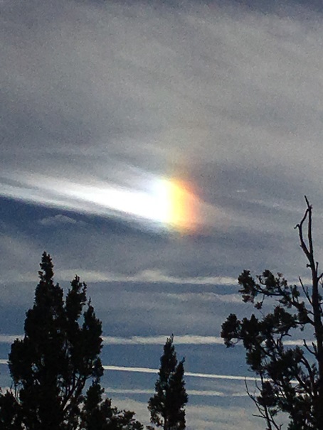 * Sundog *